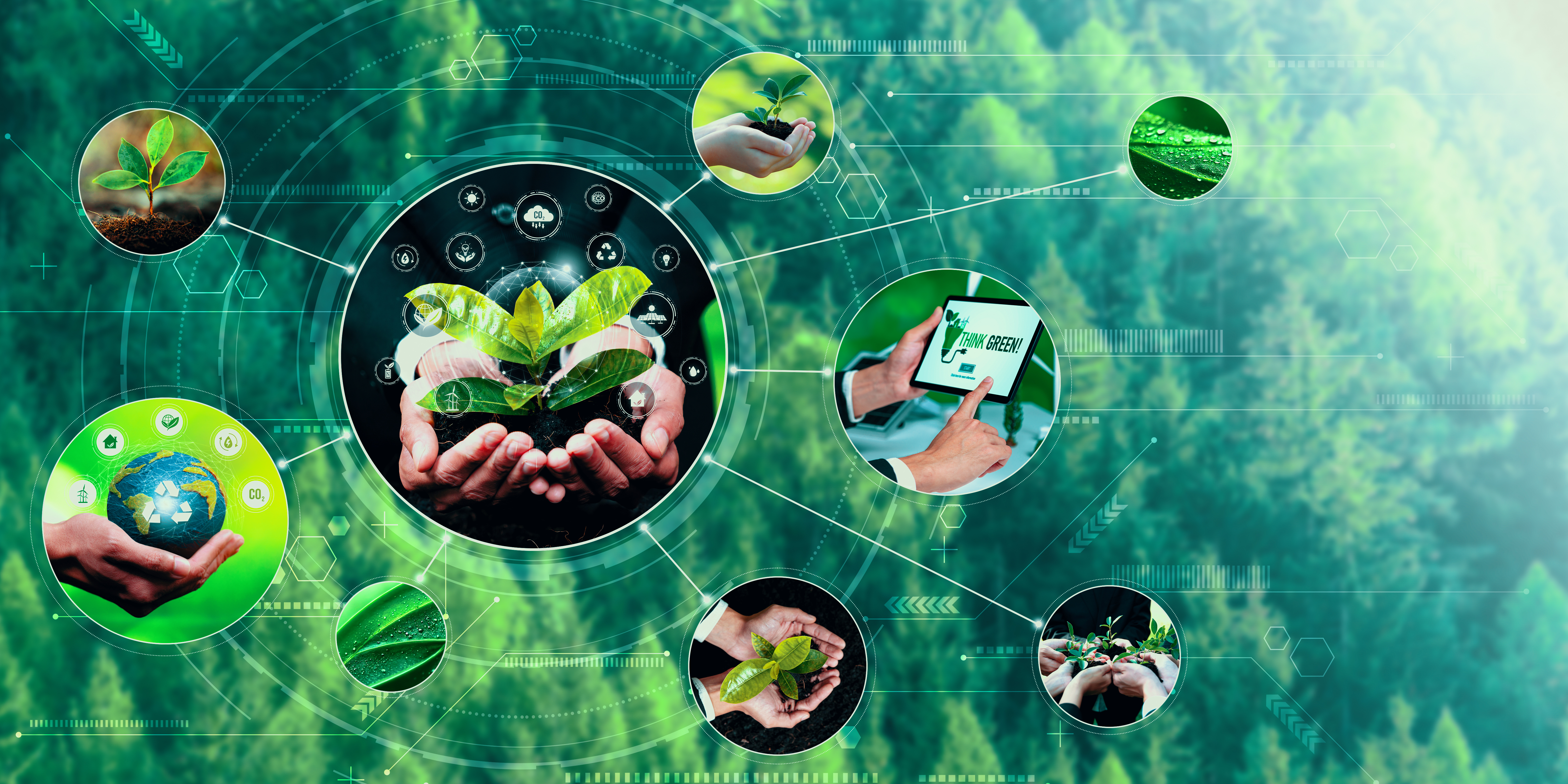 حملة تشجير منطقة الحبيل